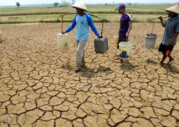 Jawa Barat Resmi Tetapkan Status Siaga Darurat Kekeringan, Antisipasi Dampak Musim Kemarau