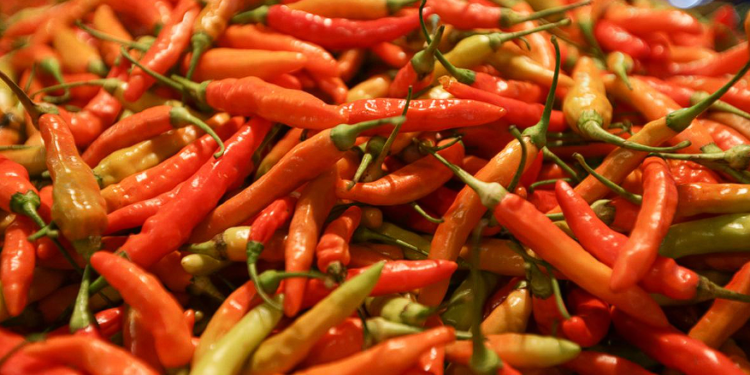 Harga Pangan Hari Ini: Cabai Rawit Merah Tembus Rp63.900 per Kg, Telur Ayam Bertahan di Rp29.250